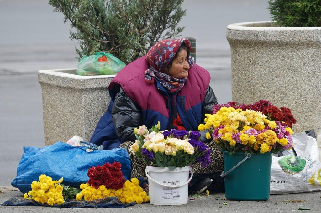 Bloemist in Leeuwarden met prachtige natuurlijke boeketten en seizoensgebonden bloemen