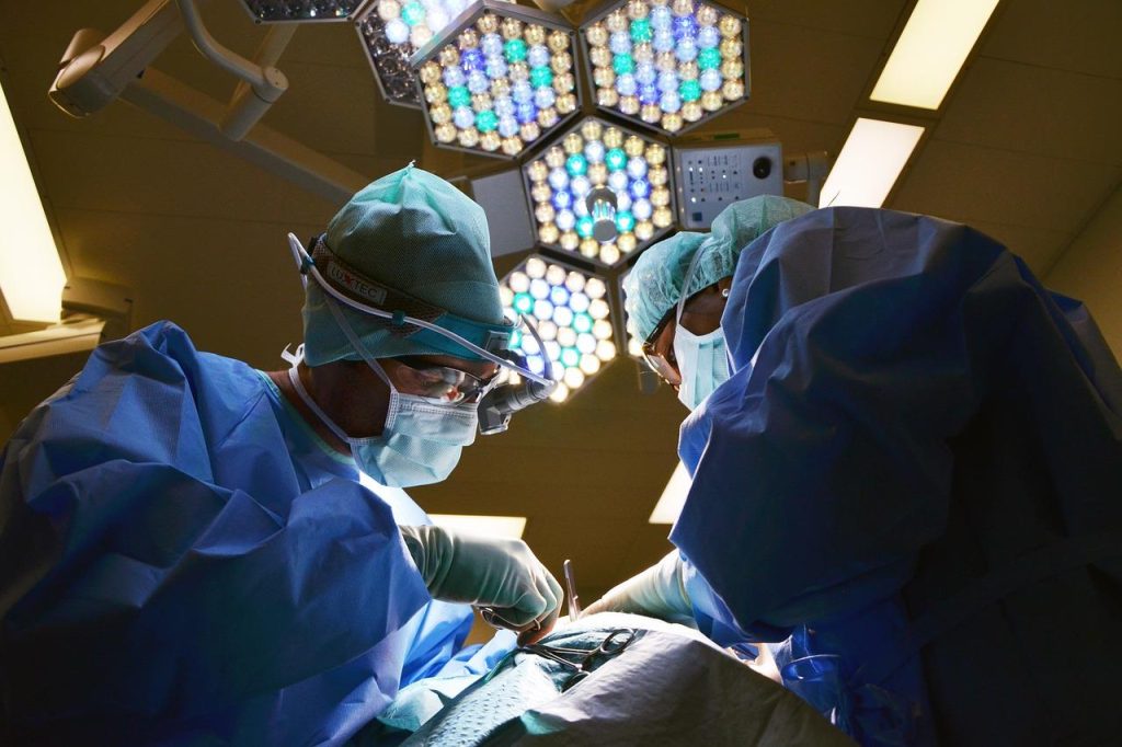 Dierenarts in Gorinchem controleert gezondheid van huisdier tijdens medische checkup