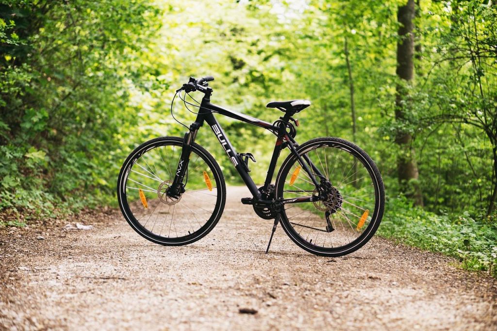 Fietsers genieten van de schilderachtige straten en historische gebouwen in Kampen langs de IJssel