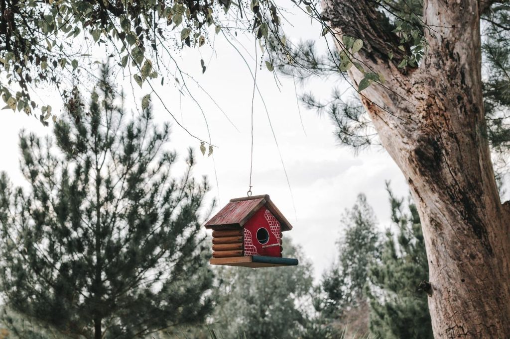 Natuurlijke tuinoase met bloemen, vogels en vlinders in een groen landschap vol leven